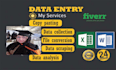 do typing task, excel work, maintain data in sheets,  web research