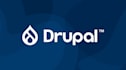 do customize drupal website and fix bug