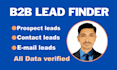 do b2b lead generation, linkedin lead generation and b2b email leads