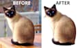 expertly remove image backgrounds and objects