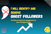 clean your instagram by removing ghost followers