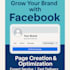 create and optimize a professional facebook business page