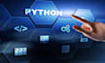 do your python task and assignments