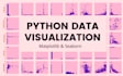 do  professional data visualization using python