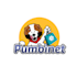 design professional modern mascot animal logo design