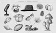 draw any object in digital pencil sketch style
