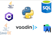 do programming in c sharp java, java ee python, mysql, android studio, vaadin