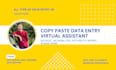 professional virtual assistant for data entry and internet research
