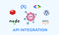 do API automation with custom code