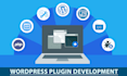 develop or modify a custom wordpress plugin for you