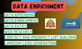 do data enrichment, linkedin research and data mining