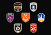 create football logo or soccer badge