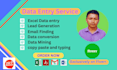 do excel data entry, web research, copy paste and find email