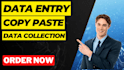 do data entry,data collection,copy paste