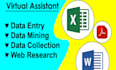 do accurate data entry, web scraping, excel, typing, and copy paste work