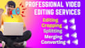crop, split, merge, trim, compress, and convert your videos