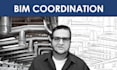 be your bim consultant and coordinator