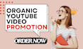 do organic youtube video and channel promotion