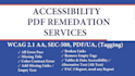 manually test PDF and fix all accessibility issues