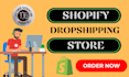 design a shopify dropshipping store for your business