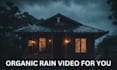 make rain video for youtube nature rain video