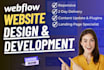 design and develop a personalized webflow stunning website
