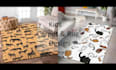 create modern carpet and rug designs