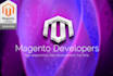 do any magento 2 customization