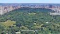 make stunning google earth studio video