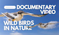 do documentary video editing articles to video editing for youtube