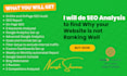 do SEO analysis to find why your website is not ranking well
