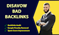 disavow bad backlinks and audit your link profile