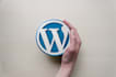 do professional wordpress website design and development