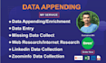 do data appending enrichment and data entry