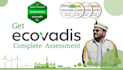 improve your ecovadis rating with expert assessment