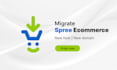 transfer your spree ecommerce site to new server