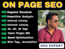 complete monthly on page seo service, on page expert