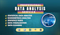 do statistical and econometrics data analysis with spss, rstudio, excel, python