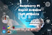 design custom embedded systems, iot solutions, and firmware for your projects
