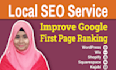 provide google ranking local SEO optimization service for website