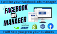 be your facebook ads manager