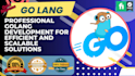 develop professional golang application
