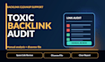 audit and disavow toxic backlinks for google penalty recovery