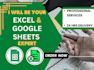 do advance excel work, assignments, google sheets, and financial statements
