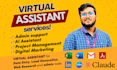 be your executive virtual assistant for data entry and admin tasks