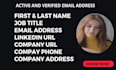 generate b2b leads of CEO and decision makers