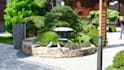 create 2d and 3d landscape designs with realistic renderings