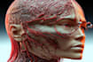 create perfect 3d medical animation and 3d modeling
