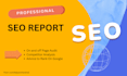 provide expert SEO audit report, competitor website analysis