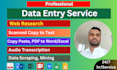 do professional data entry, web research, and excel data entry job